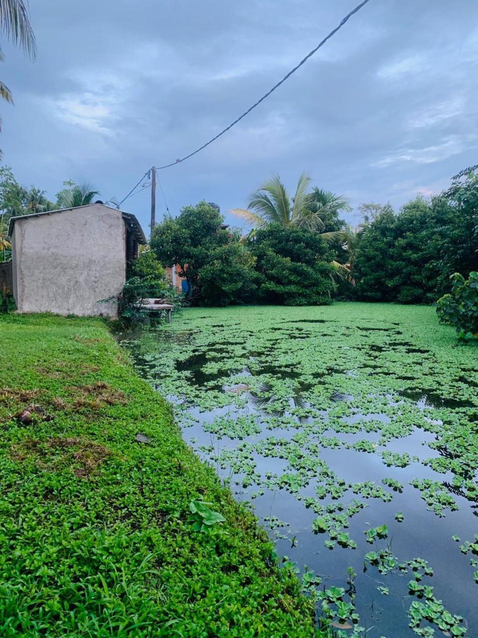 Ashok Villa Weligama Exterior foto